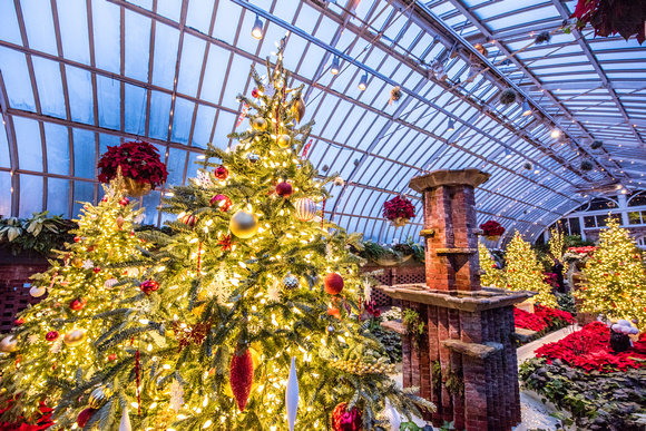 Phipps Conservatory in Pittsburgh - Winter 2016 Light Show and Train Display - 017