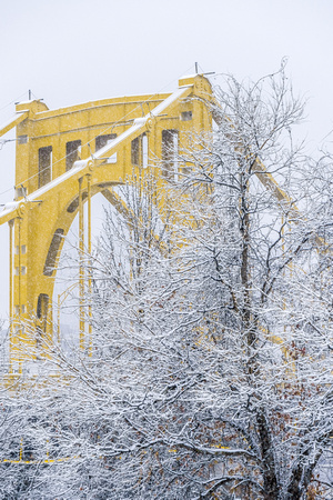 The Andy Warhol Bridge and a snow covered tree in Pittsburgh