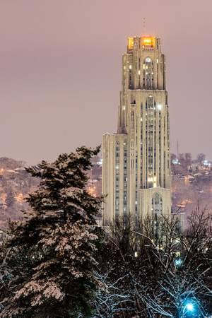 The Cathedral of Learning rises above the snow covered trees of Schenley Park in Pittsburgh