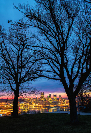 Two trees frame downtown Pittsburgh at dawn from the West End
