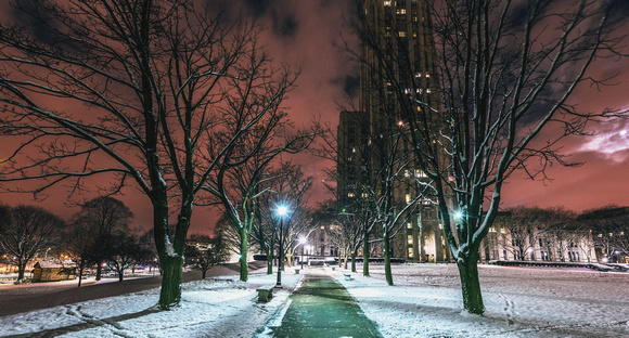 A pathway through the trees by the Cathedral of Learning in the snow