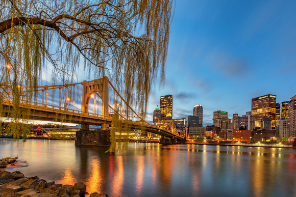 Willow branches hang above the river during a Pittsburgh sunrise