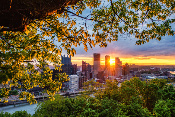 Trees frame a beautiful sunrise in Pittsburgh