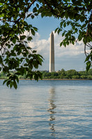 Trees frame the Washington Monument in Washington DC