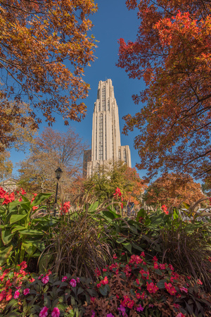 Beautiful fall colors surround the Cathedral of Learning