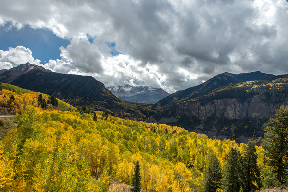 A view through the beautiful fall colors in Colorado