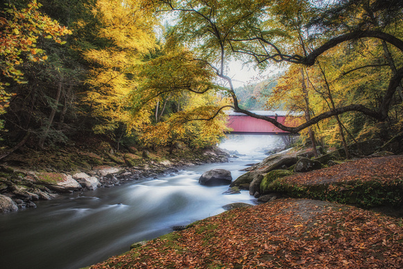 Trees frame the covered bridge at McConnells Mill State Park