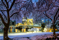 Trees frame the snow covered Clemente Bridge before dawn
