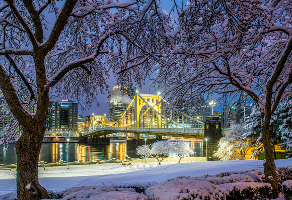 Trees frame the snow covered Clemente Bridge before dawn