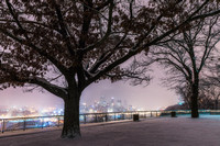 A tree on the West End Overlook frames Pittsburgh in the snow