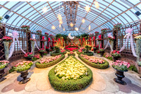 The poinsettia room at Phipps Conservatory