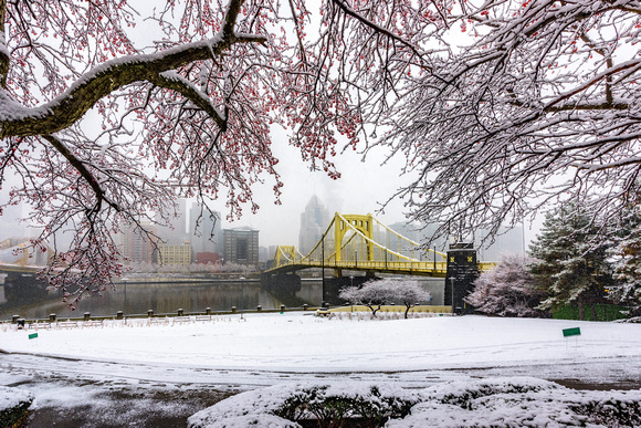 Trees frame the snow covered North Shore in Pittsburgh