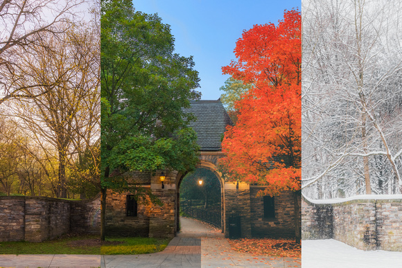 Four Seasons of Reynolds Street