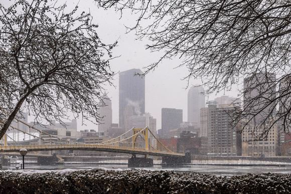 Trees on the North Shore frame the Pittsburgh skyline on a snowy morning