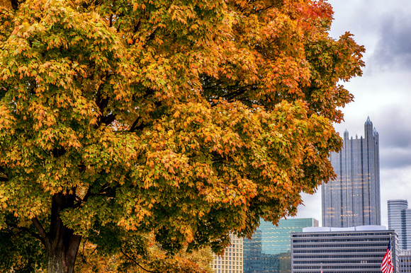 The Pittsburgh skyline and fall trees in Point State Park