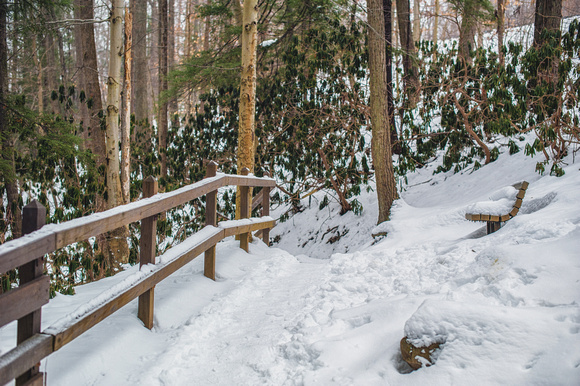 Snowy steps at Ohiopyle State Park