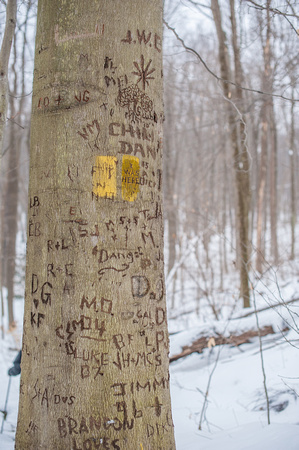 Carve your name at Ohiopyle State Park