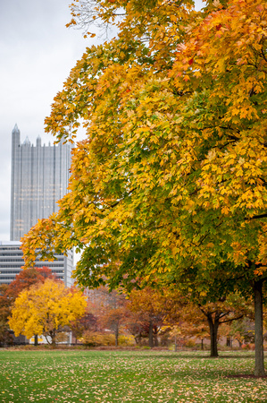 Looking through the fall colors of Point State Park in Pittsburgh