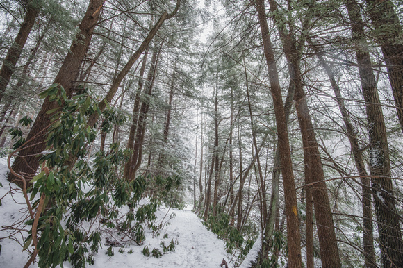 A long snowy walk at Ohiopyle State Park