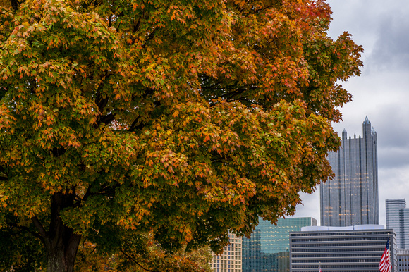 Fall colors and PPG Place in Pittsburgh