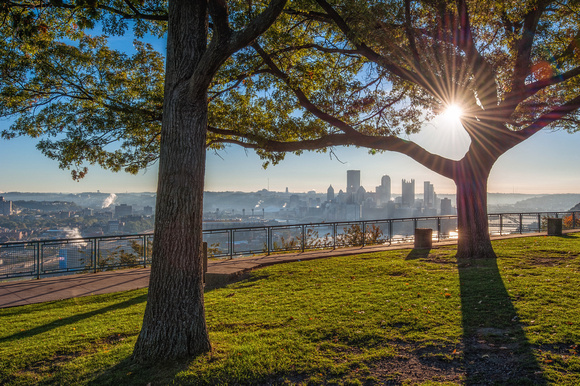 Pittsburgh skyline framed by a tree and a sunflare at the West End Overlook HDR