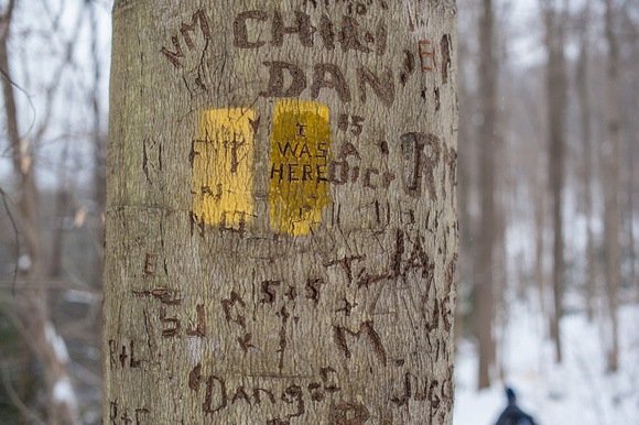 Names carved into a tree at Ohiopyle State Park