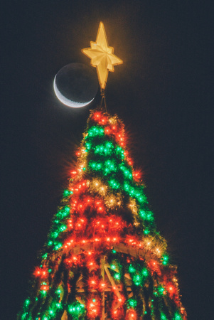 christmas tree crescent moon 2