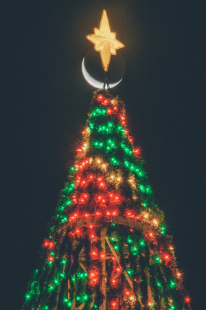 christmas tree crescent moon 3