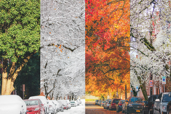 Seasons of Sheffield