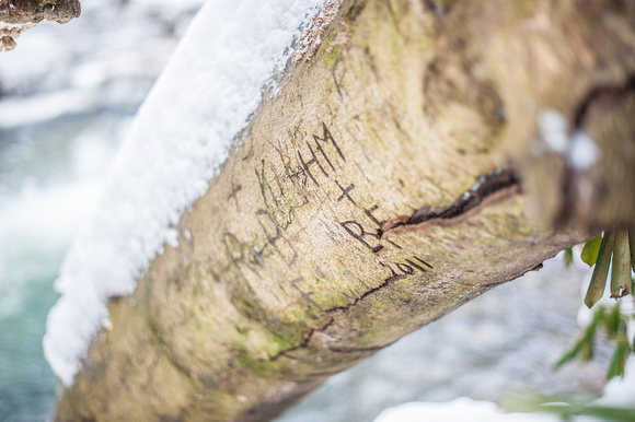 Names carved on a tree at Ohiopyle State Park