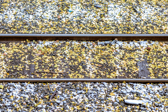 Leaves and railroad tracks on the North Side of Pittsburgh
