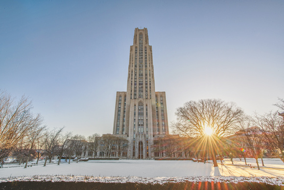 Sunflare beside the Cathedral of Learning in Pittsburgh