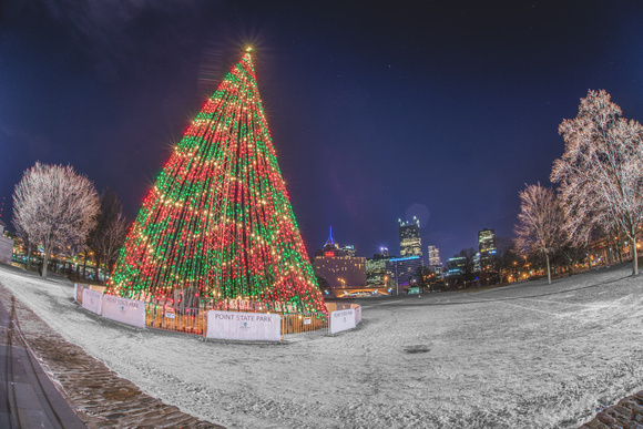 A fisheye view of the tree at Point State Park and the Pittsburgh skyline in winter