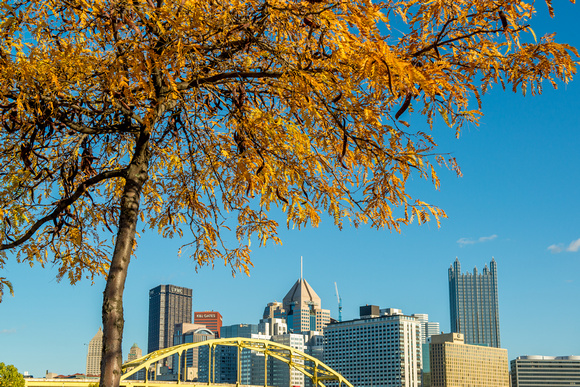 Orange leaves frame the Pittsburgh skyline in the fall from the North Shore