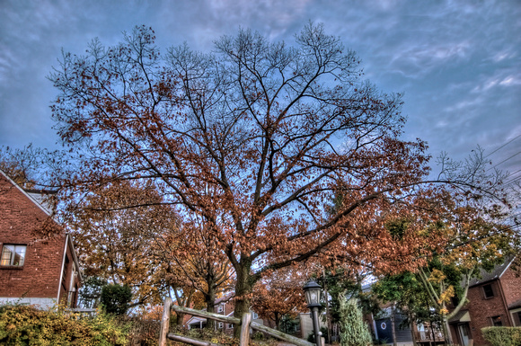 The changing of the seasons in HDR