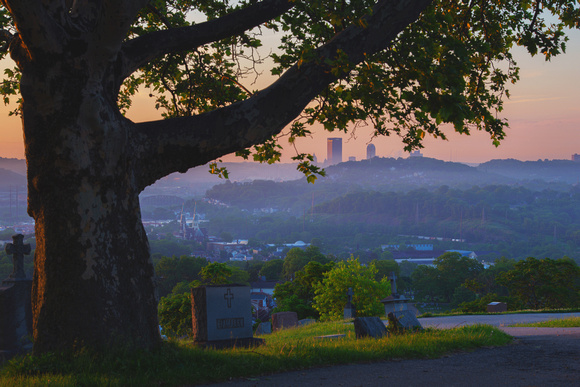Pittsburgh skyline under a tree from McKees Rocks