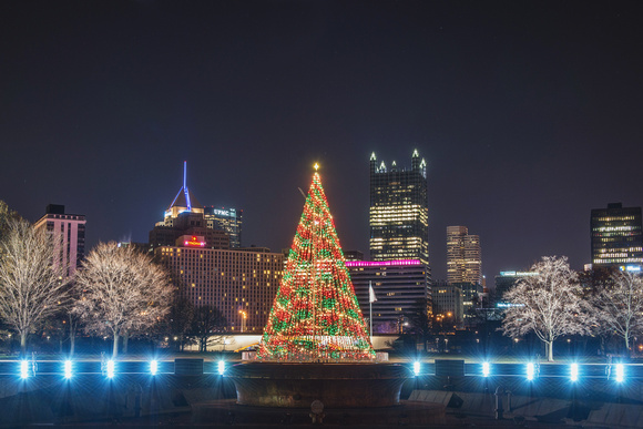 Christmas tree at Point State Park in Pittsburgh