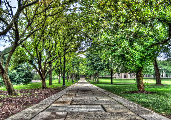 Pathway at the University of PIttsburgh HDR