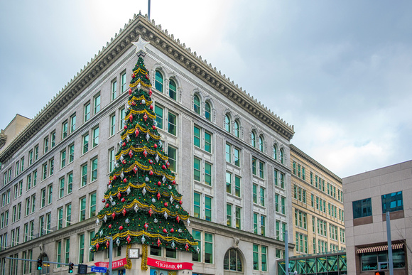 The Horne's tree before being lit up in Pittsburgh
