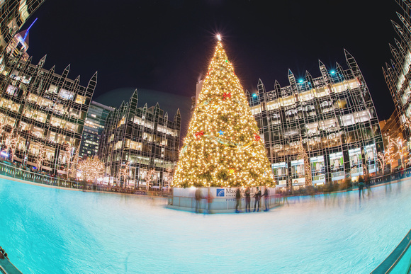 A view of the tree on Light Up NIght in Pittsburgh at PPG Place