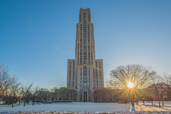 Sunflare through a tree by the Cathedral of Learning in the snow