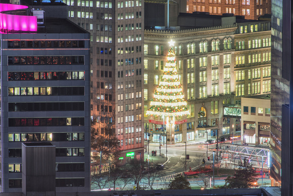 A view of the Horne's Tree from Mt. Washington during Light Up NIght in Pittsburgh