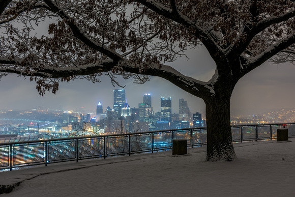 A tree frames the Pittsburgh skyline from the West End Overlook in the snow