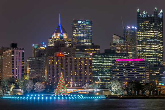 View of the Christmas tree at the Point in Pittsburgh from the South Shore