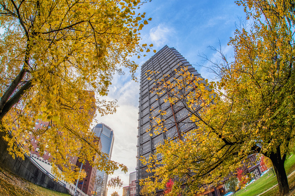 The Steel Building rises through the fall trees in Pittsburgh