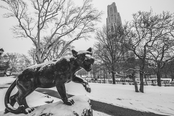 Black and white view of the Panther Statue and the Cathedral of Learning