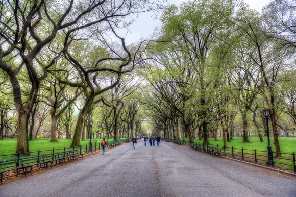 The Mall in Central Park on a cloudy day HDR