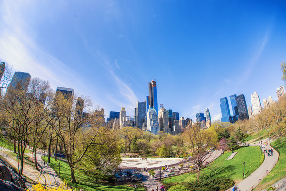 A fisheye view of Central Park in the spring