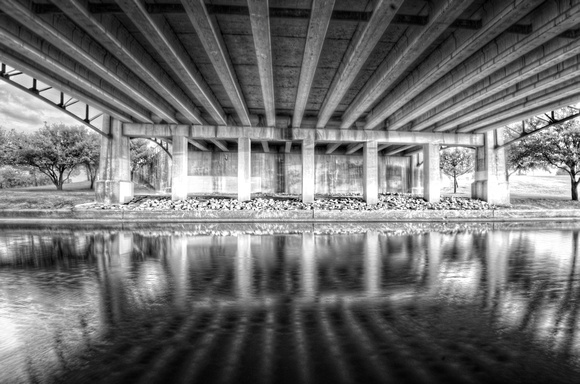 Reflections in the at Richard Greene Linear Park HDR B&W