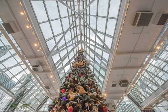 Top of the tree at the Winter Park at PPG Place in Pittsburgh